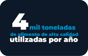 BigEs4